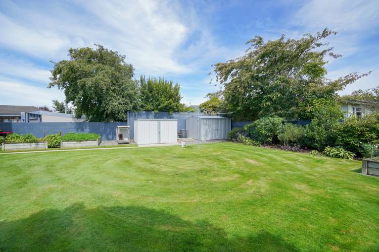 106 Ward Street Waverley_21