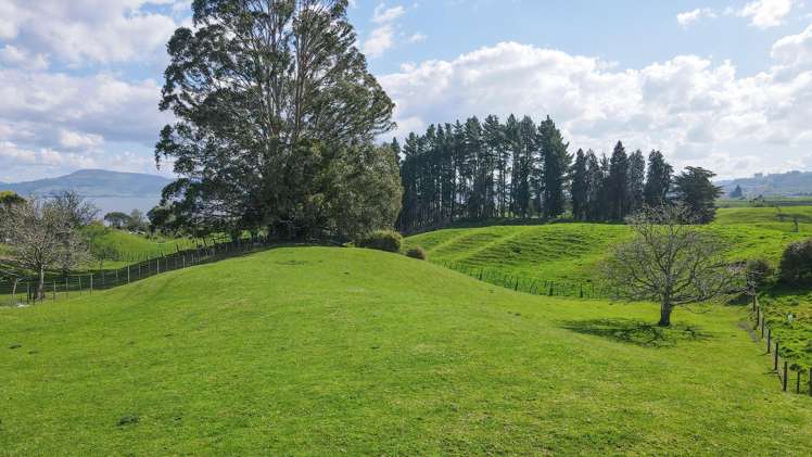 951 Hamurana Road Hamurana_32