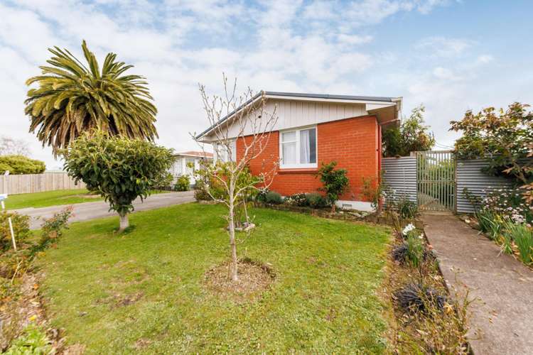 44 Rugby Street Awapuni_16