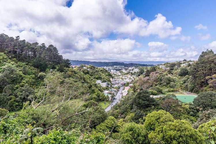 17 Irvine Street Aro Valley_11