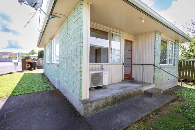 4C Princess Street Dannevirke_1