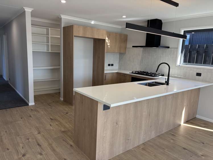 19 Turau Street (Lot 695)_5