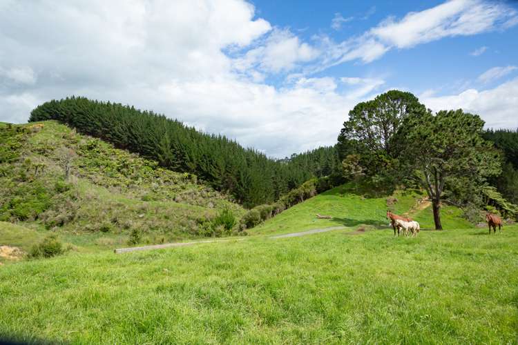 599 Te Puroa Road Ngaruawahia_19