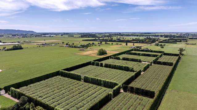 469 Western Drain Road Edgecumbe_1