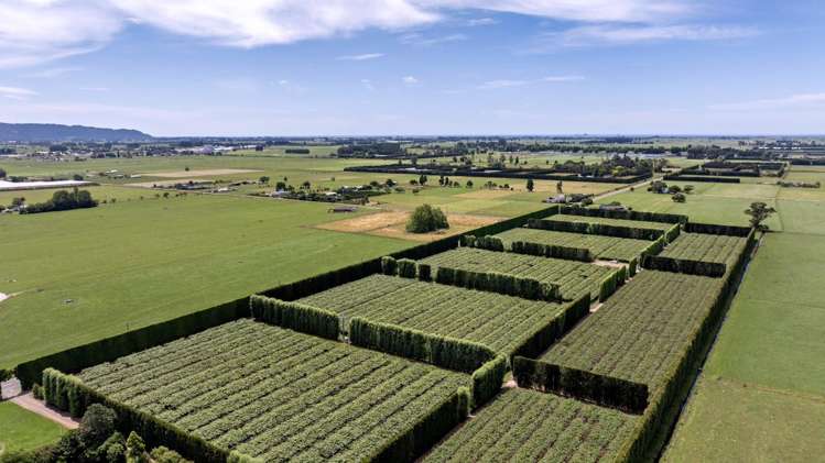 469 Western Drain Road Edgecumbe_1