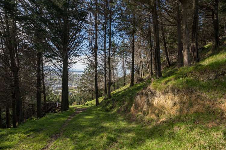 14 Hillplough Heights Richmond_23