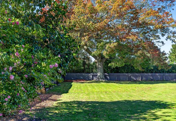 31 West Street Greytown_20