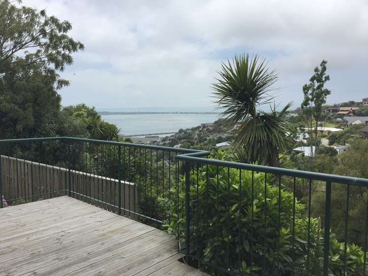 135 Mt Pleasant Road Mount Pleasant_16