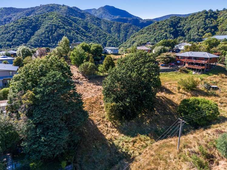 19b Dorset Street Picton_7