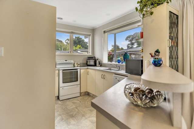 61 Martin Street Utuhina_2