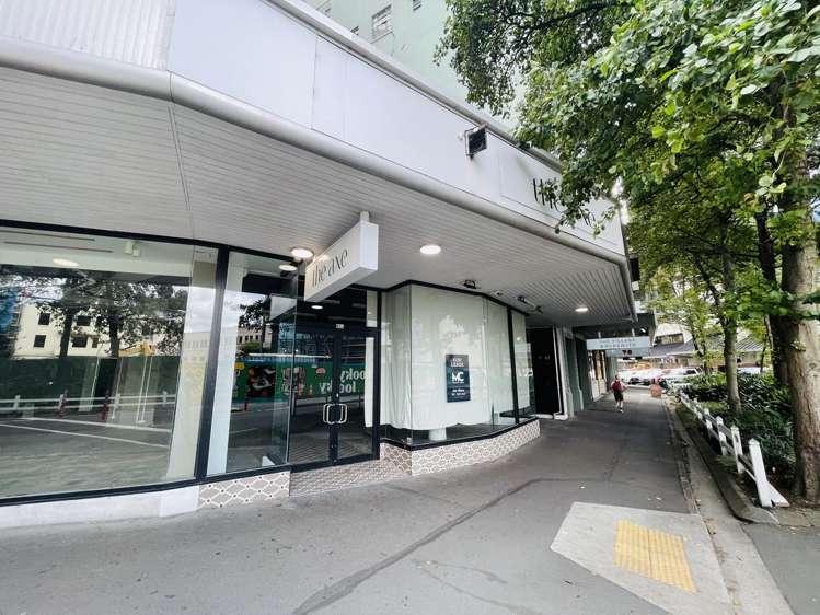 Ground 3/86 Victoria Street Wellington Central_1