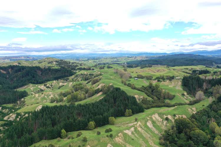 643 Glengarry Road Puketapu_9