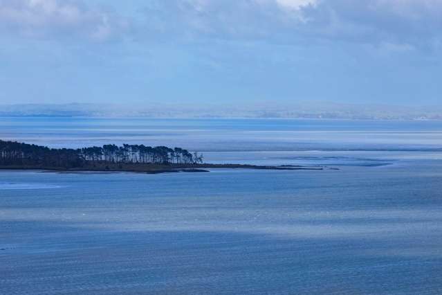 366A Hillsborough Road Hillsborough_1