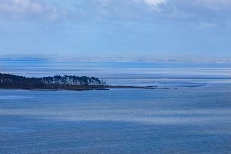 366A Hillsborough Road Hillsborough_20