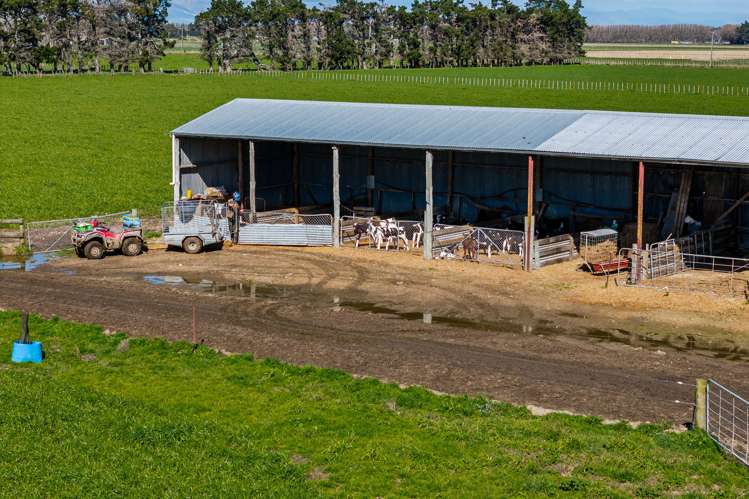 1040 Roberts Line Bunnythorpe_14