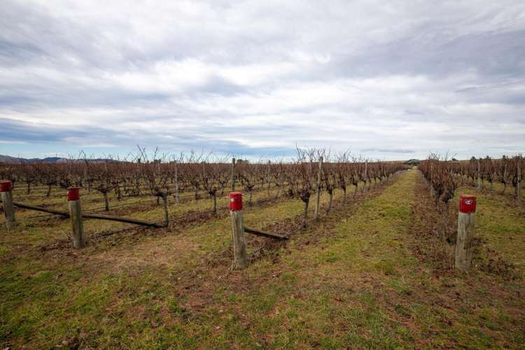 590 Georges Road Waipara_8