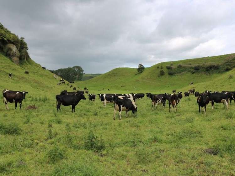 1190 Lake Arapuni Road Putaruru_41