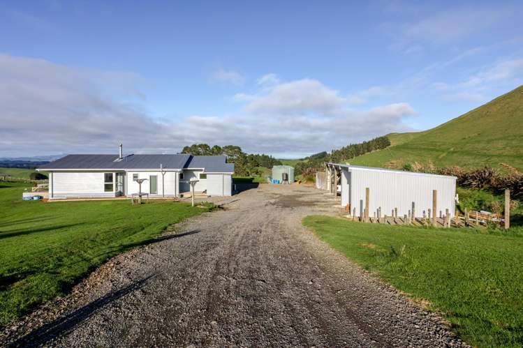 410 Te Kakapo Valley Road Dannevirke_23