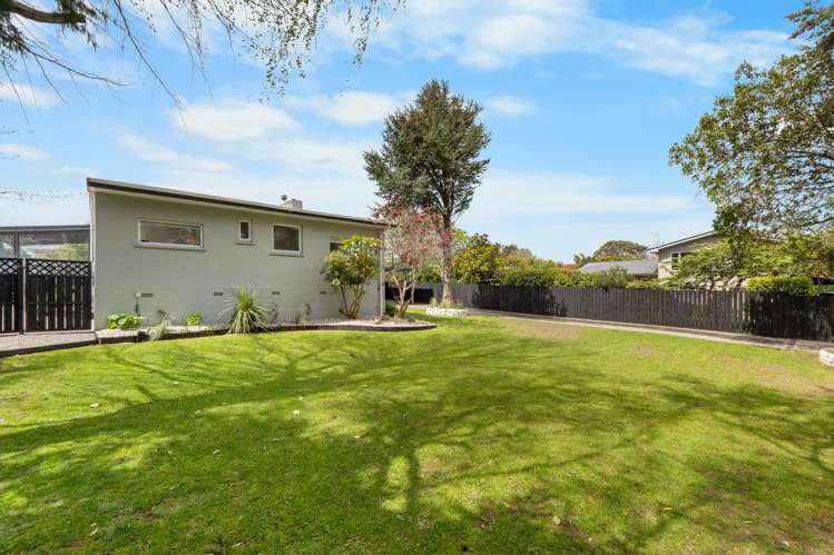 101 Ward Street Waverley_38