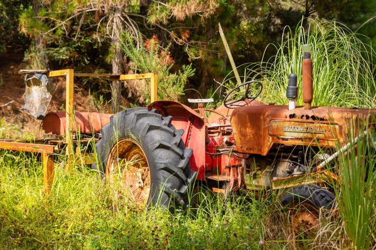 81 Grange Street Warkworth_28