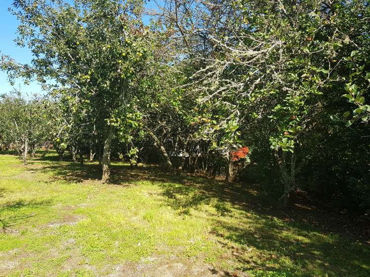 22 Cadman Street Waikino_0