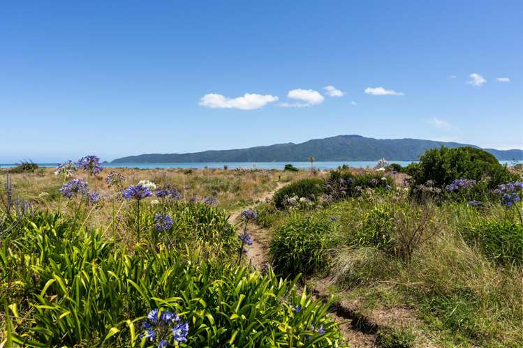 95A Manly Street Paraparaumu Beach_15