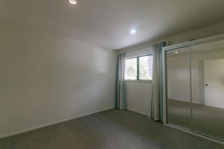 374 Wright Road Dairy Flat_16