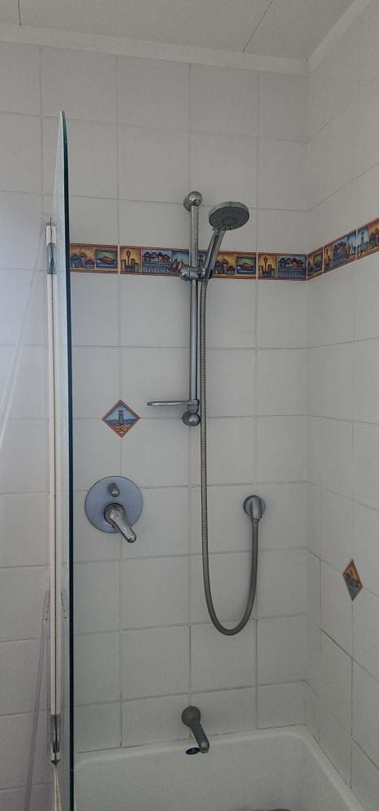 1 Nukumea Common Orewa_19