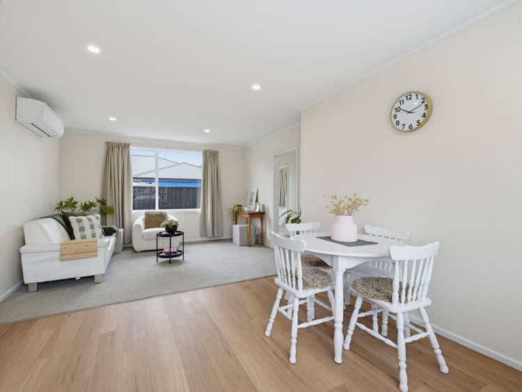 44 Albert Street Netherby_6