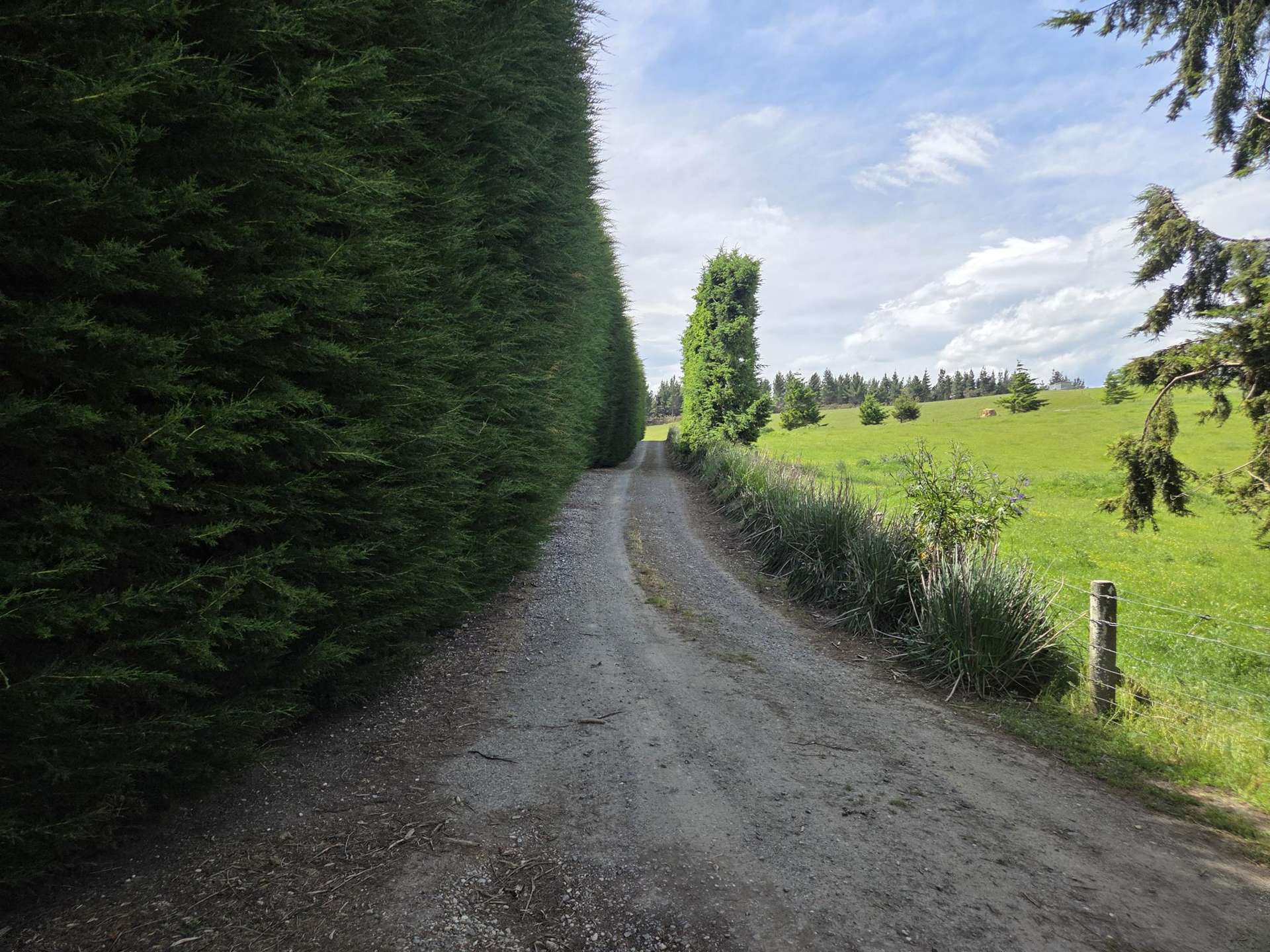 183 Gunn Road Waitepeka_0