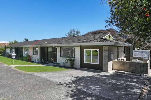 2/16a Penney Avenue Mount Roskill_3