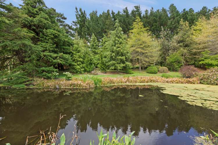 1058 Nicholls Road Central Hawkes Bay Country_39