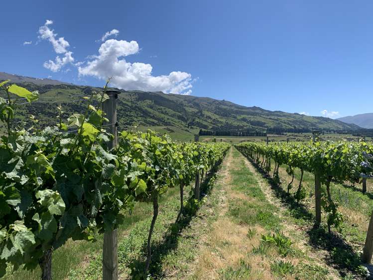 Luggate-Cromwell Road Queensberry_12