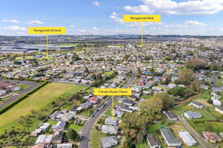 7 Kudu Road Otara_11