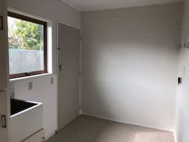 3b Manchester Street Petone_4