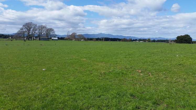 Morrinsville-Tahuna Road Morrinsville_12