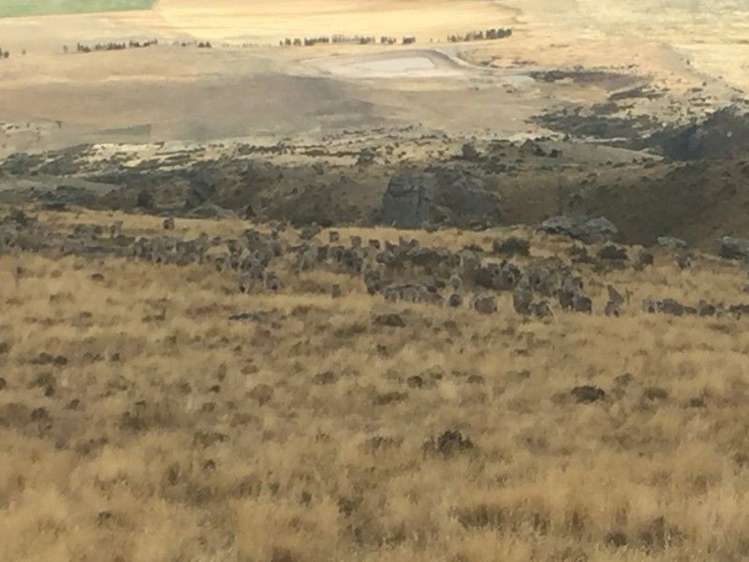 232 Ida Valley Back Road Oturehua_25