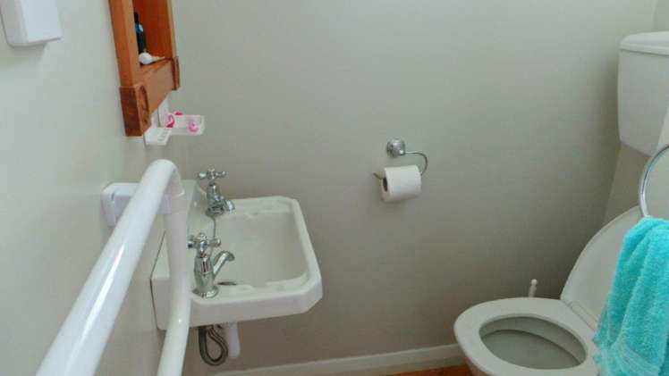 3 Rutland Street Levin_11