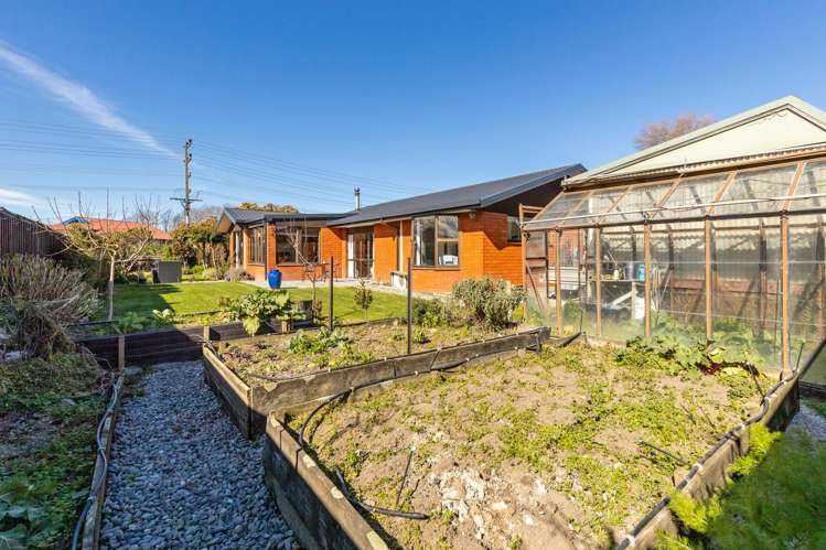 17 Murphys Road Springlands_22