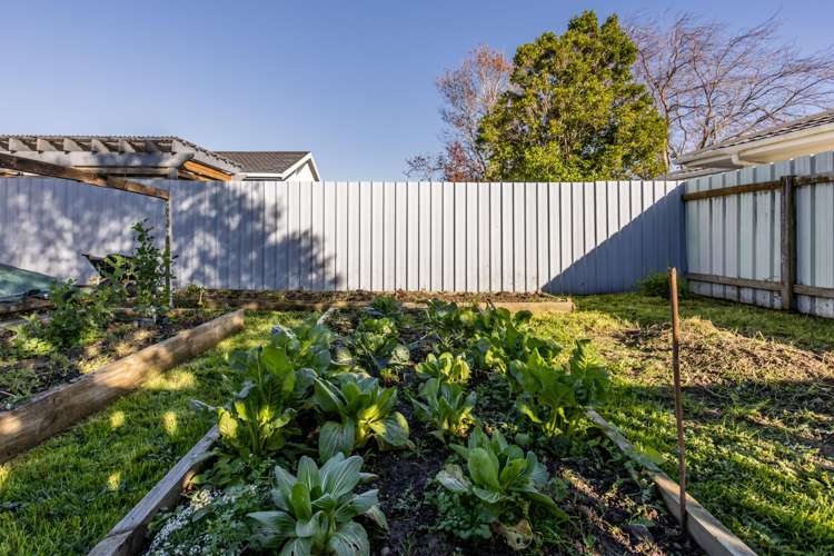 28 Peppertree Glade Kelvin Grove_14