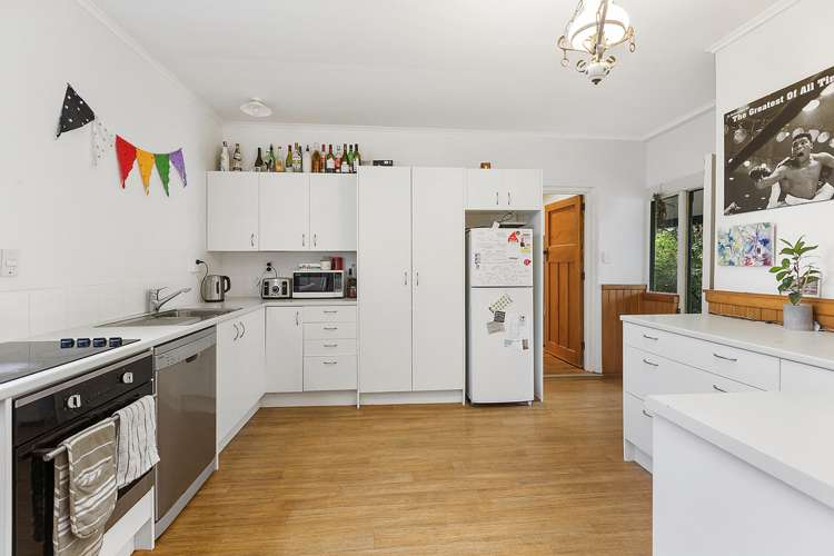 19 Palmer Street Aro Valley_6