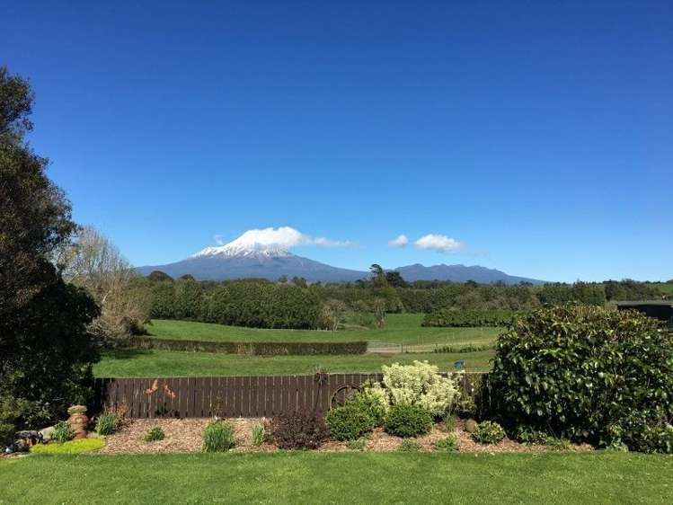 346 Rugby Road Tariki_82