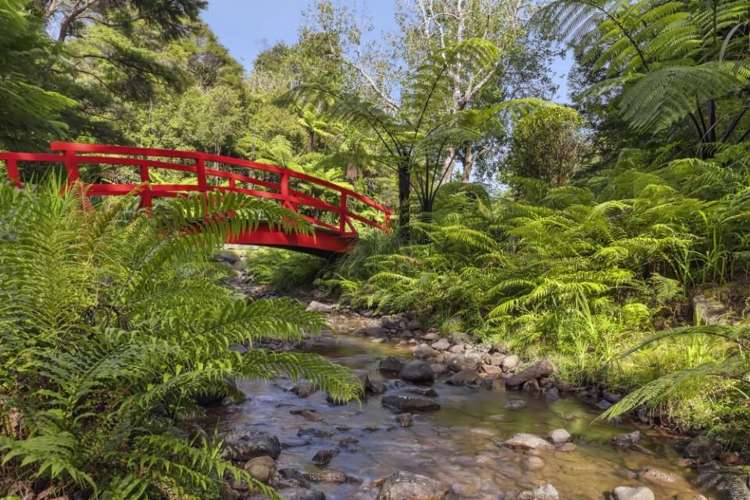 586 Tapu Coroglen Road Tapu_5
