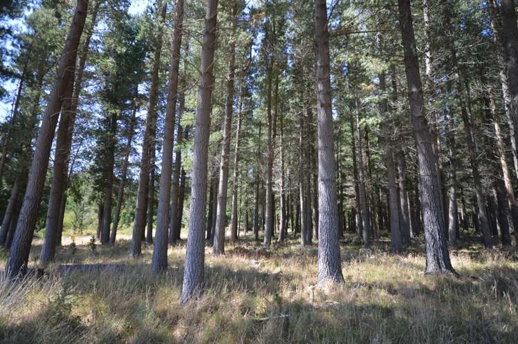 229 Mountain Road Okuku_6