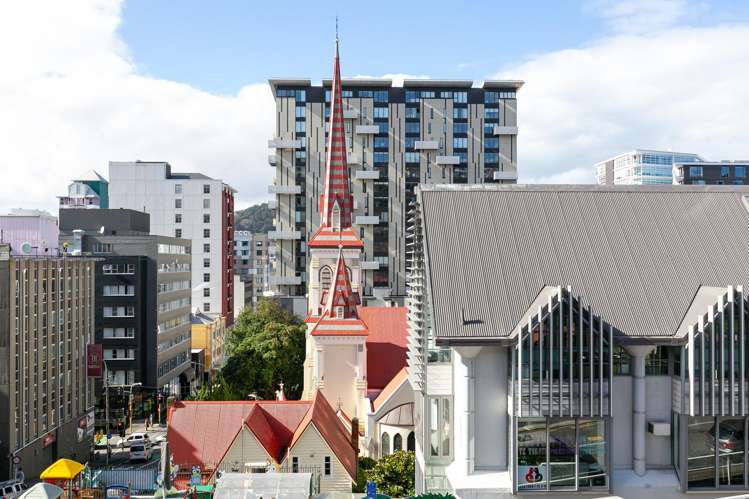 2A MacDonald Crescent Te Aro_8