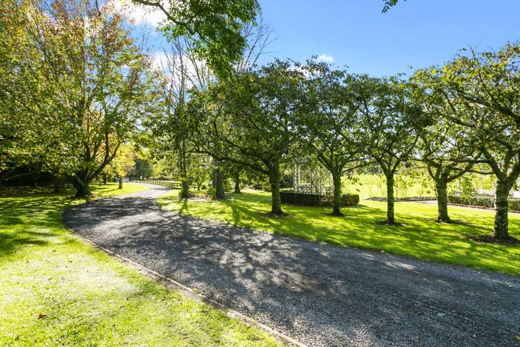 291 North Road Clevedon_24