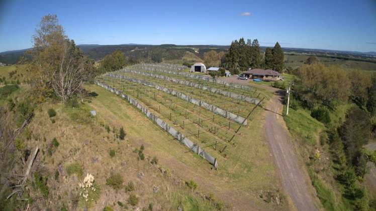 307 Campbell Road Pukehina_24