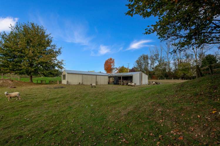 1561 Whirinaki Valley Road Ngakuru_22