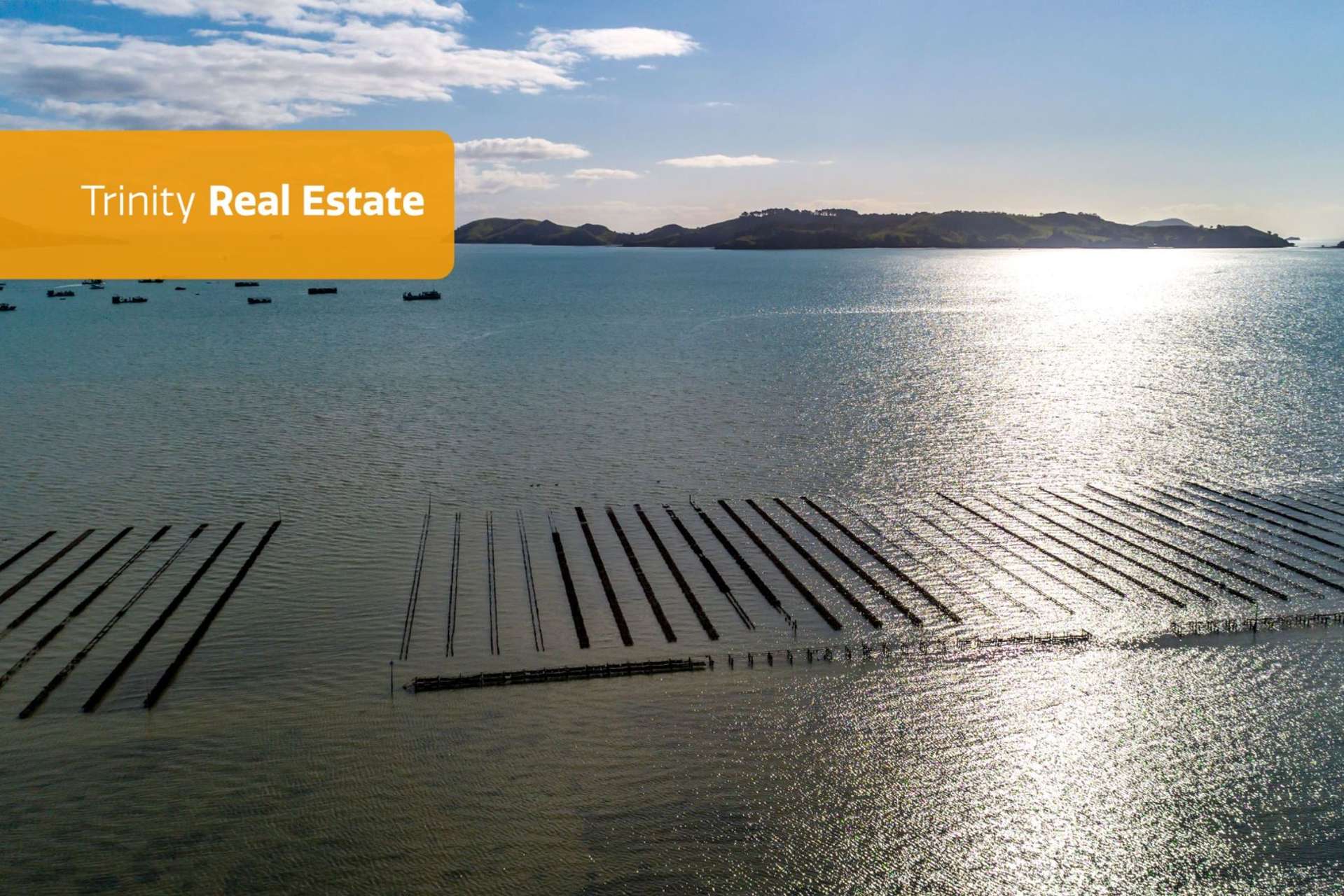 Coromandel Oyster Company Limited 1613 Manaia Road Coromandel_0