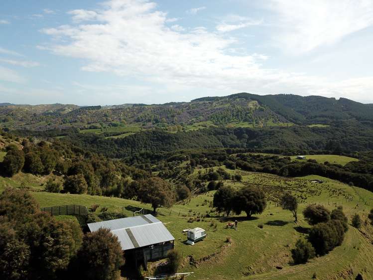 1050 Ellis Wallace Road Eskdale_12